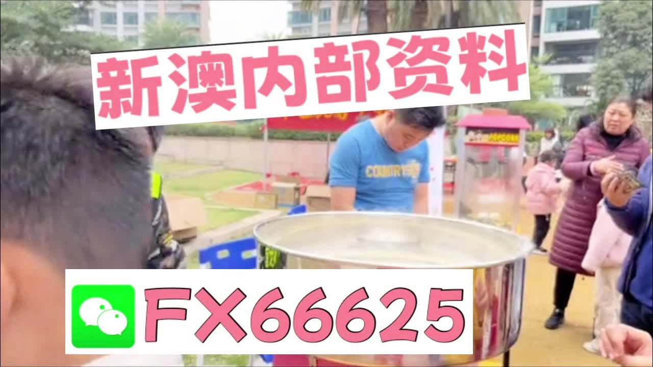 新奧2025正版資料大全，全面解析與深度探索，新奧2025正版資料大全，全面解析與深度探索揭秘