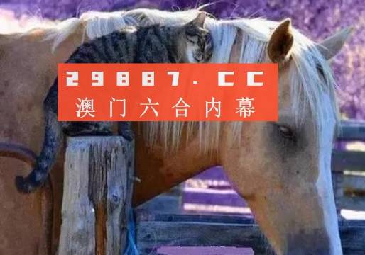 澳門一肖一碼一待一中四不像，探索與解析，澳門一肖一碼一待一中四不像，深度解析與探索