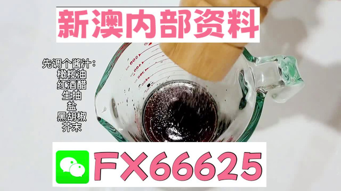 2025年新澳正版免費料，全面解析與獨家資訊，獨家解析，揭秘新澳正版免費料獨家資訊至2025年