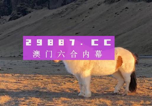 澳門天天彩資料正版免費(fèi)特色快8，探索彩票世界的魅力與機(jī)遇，澳門天天彩正版特色快8，彩票世界的魅力與機(jī)遇探索