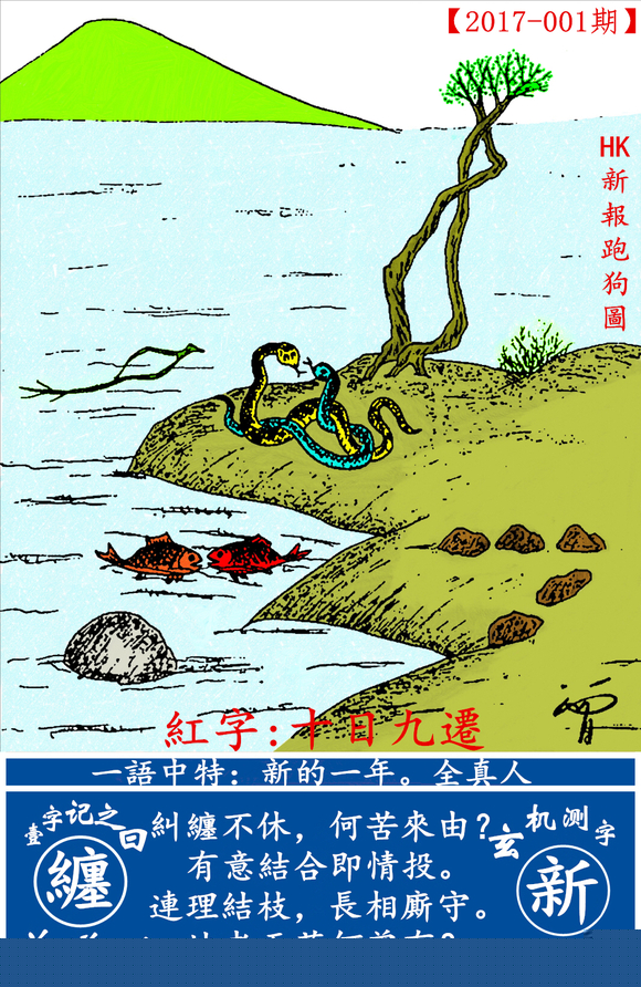 探索全新版跑狗圖，7777788888的魅力與策略，探索全新版跑狗圖，7777788888的魅力與攻略解析