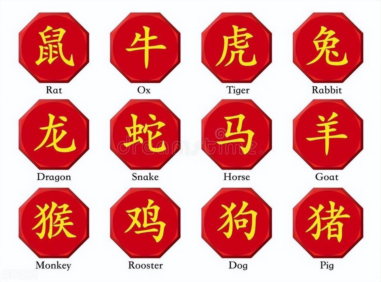 新澳特碼，羊牛虎各數(shù)10——揭秘背后的數(shù)字奧秘，揭秘新澳特碼數(shù)字奧秘，羊?；⒏鲾?shù)背后的秘密