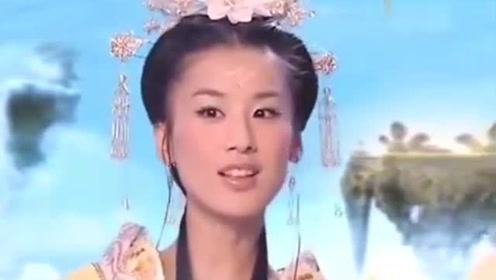 曾道道人資料免費(fèi)大全，深度探索與解析，曾道道人資料深度解析與免費(fèi)大全探索
