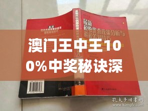 新澳門王中王期期中，探索與解析，新澳門王中王期期中，深度探索與解析