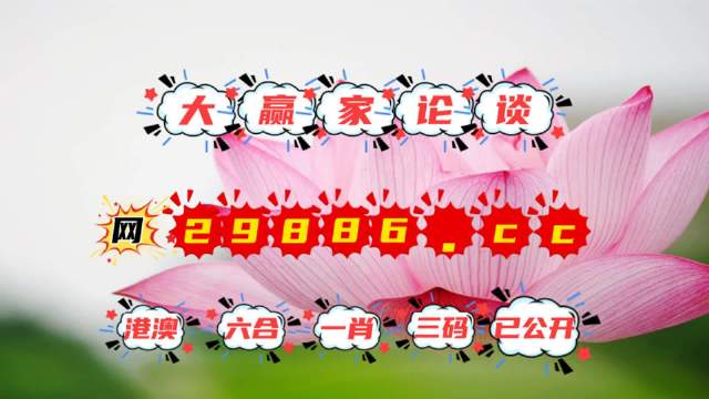 揭秘4887王中王精準資料，全方位解讀，洞悉其獨特魅力，揭秘，全方位解讀王中王精準資料，洞悉其獨特魅力