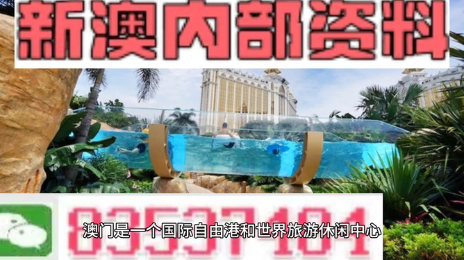 新澳的資料去哪里找——全面指南，新澳資料全攻略，尋找資料的途徑與指南