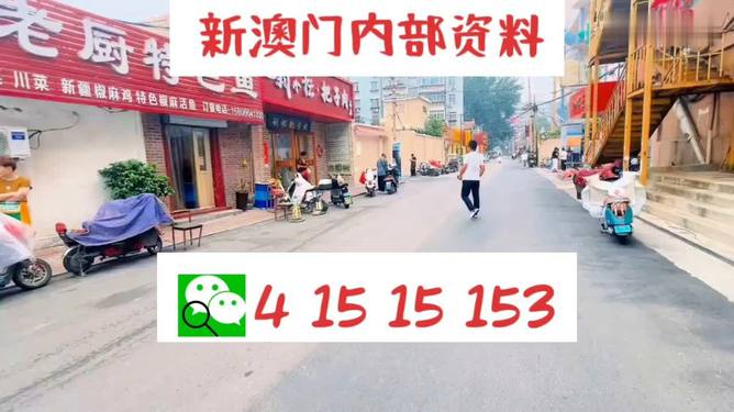 探索未來(lái)，新澳門(mén)天天開(kāi)好彩的2025展望，未來(lái)展望，新澳門(mén)2025年天天彩彩紛呈的探索之路