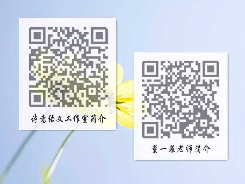 一碼一肖一特一，揭秘背后的秘密與獨(dú)特之處，揭秘一碼一肖一特一的獨(dú)特之處與背后秘密