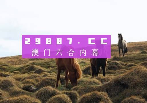 今晚新澳門(mén)開(kāi)獎(jiǎng)結(jié)果查詢(xún)9，全面解析與實(shí)用指南，澳門(mén)今晚開(kāi)獎(jiǎng)結(jié)果查詢(xún)9，全面解析與實(shí)用指南