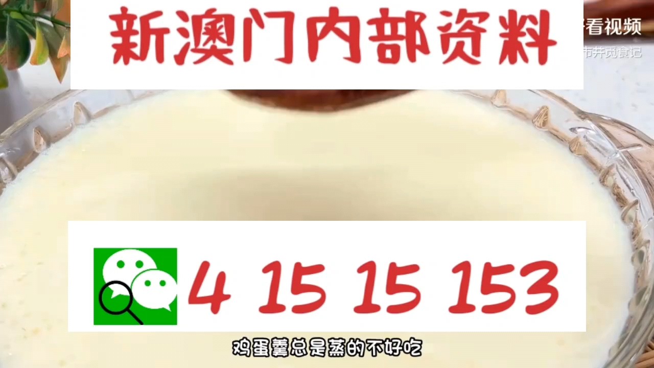 新澳門中特網(wǎng)中特馬，探索與解析，澳門中特馬探索與解析指南