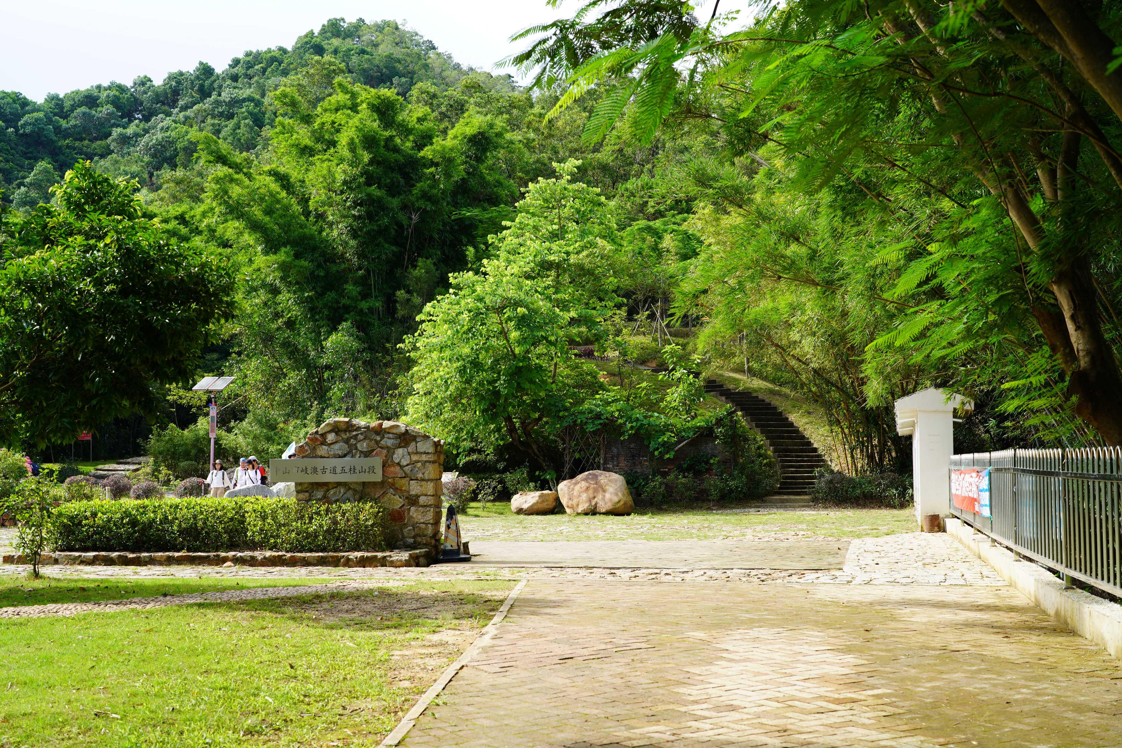 新澳門波色走勢圖表大全，深度解析與預(yù)測，澳門波色走勢圖表解析與預(yù)測大全