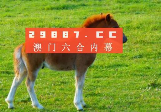 澳門答家婆一肖一馬一中一特，揭秘背后的秘密與獨(dú)特文化魅力，澳門文化魅力深度解析，答家婆一肖一馬一中一特的獨(dú)特傳統(tǒng)與秘密