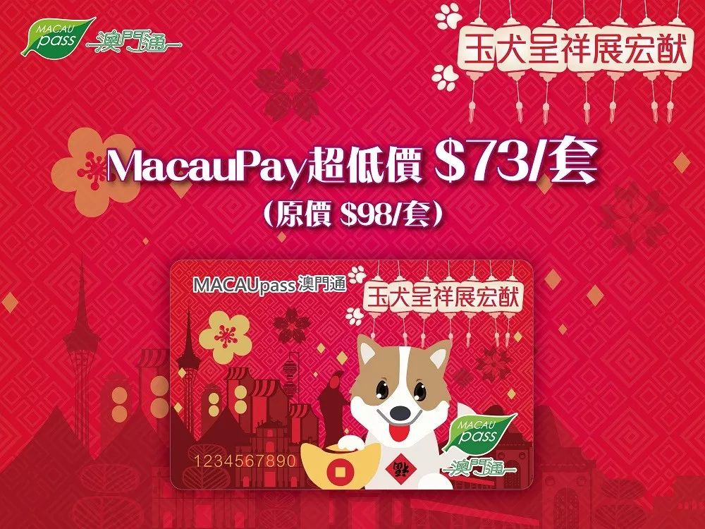 澳門生肖卡，探索未來的趨勢與機(jī)遇（2025年展望），澳門生肖卡，未來趨勢與機(jī)遇展望（2025年）