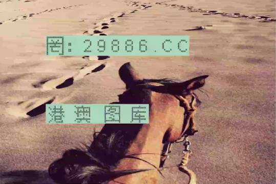 香港特馬資料王中王24期，深度解析與探索，香港特馬資料王中王深度解析與探索，第24期探索之旅
