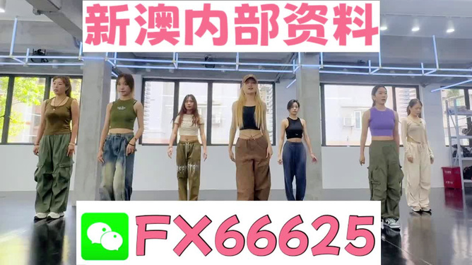 新澳一肖，探索與解析，新澳一肖，深度探索與解析