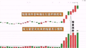 王中王一肖平碼，揭秘背后的故事與SEO策略，王中王一肖平碼背后的故事與SEO策略揭秘