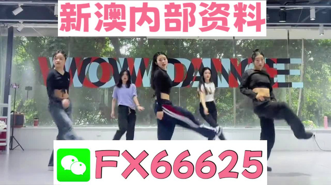 新澳精準資料免費提供，探索與實踐的指南，新澳精準資料免費分享，探索與實踐的導(dǎo)航指南