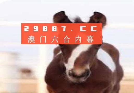 澳門今晚必開一肖一碼，探索生肖與彩票的奧秘，澳門生肖彩票奧秘探索，今晚必開一肖一碼