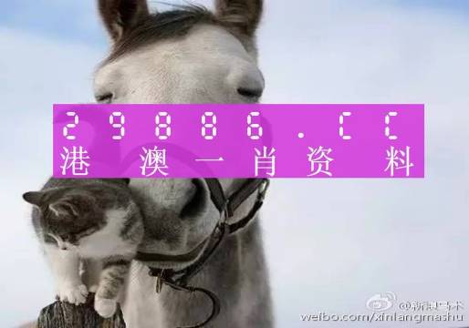 揭秘劉伯溫四肖選一碼的意思——探尋背后的故事與真相，揭秘劉伯溫四肖選一碼背后的真相與故事