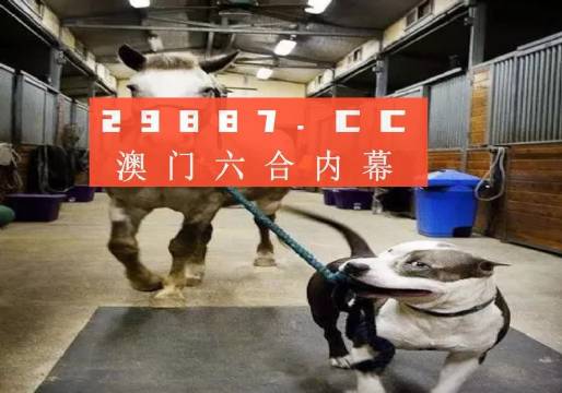 澳門一肖一碼一必中一肖，同舟前進(jìn)的奧秘與策略，澳門一肖一碼必中策略與前進(jìn)奧秘，同舟共濟(jì)的揭秘與策略