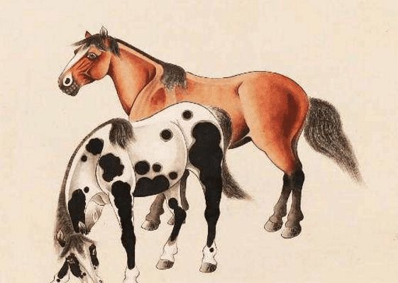 馬一王中王特平一肖圖，深度解析與SEO優(yōu)化策略，深度解析馬一王中王特平肖圖，SEO優(yōu)化策略探討