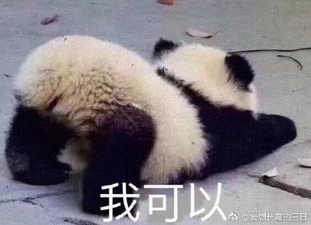 澳門四不像正版四不像網(wǎng)，探索真實(shí)與虛幻的交融之地，澳門四不像正版探索，真實(shí)與虛幻的交融世界