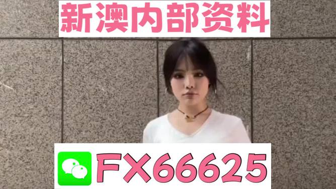 澳門正版資料大全完整版，探索與揭秘2025年澳門正版資料的世界，澳門正版資料大全揭秘，探索未來至2025年的奧秘世界