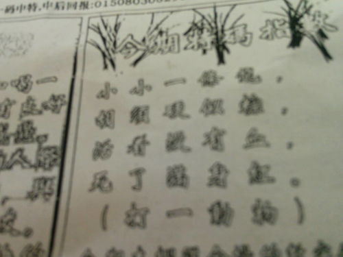 揭秘劉伯溫四肖選一肖的神秘預(yù)測(cè)藝術(shù)，劉伯溫四肖選一肖的神秘預(yù)測(cè)藝術(shù)揭秘