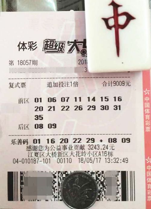 澳門六開(kāi)彩天天開(kāi)獎(jiǎng)結(jié)果查詢，輕松掌握最新動(dòng)態(tài)，澳門六開(kāi)彩最新開(kāi)獎(jiǎng)結(jié)果查詢，輕松掌握每日動(dòng)態(tài)