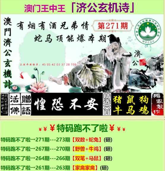王中王資料一肖特圖，深度解析與探索，王中王資料特圖深度解析與探索
