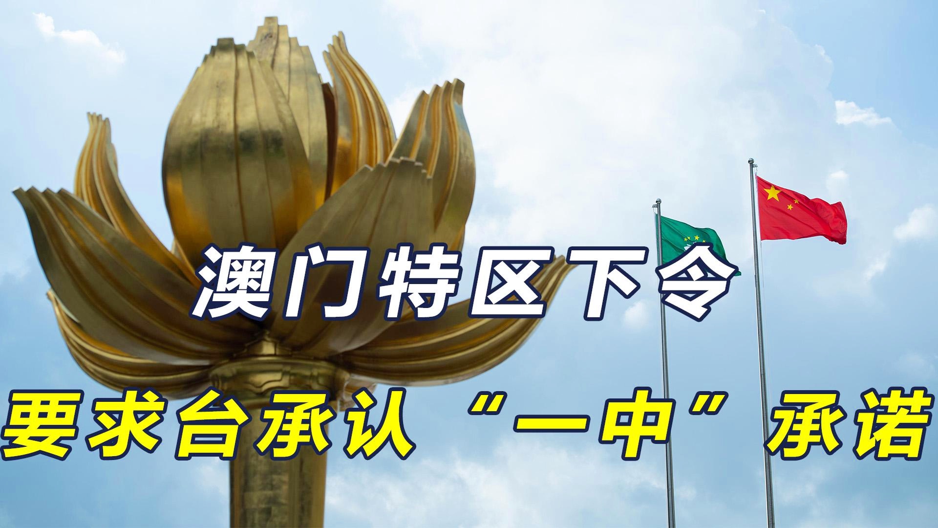 澳門一碼一肖一特一中今晚預測與探索，澳門今晚一碼一肖一特一中預測與揭秘