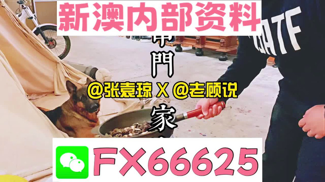 新澳門精準(zhǔn)資料大全，管家婆料解析與探索，澳門精準(zhǔn)資料大全，管家婆料解析與深度探索