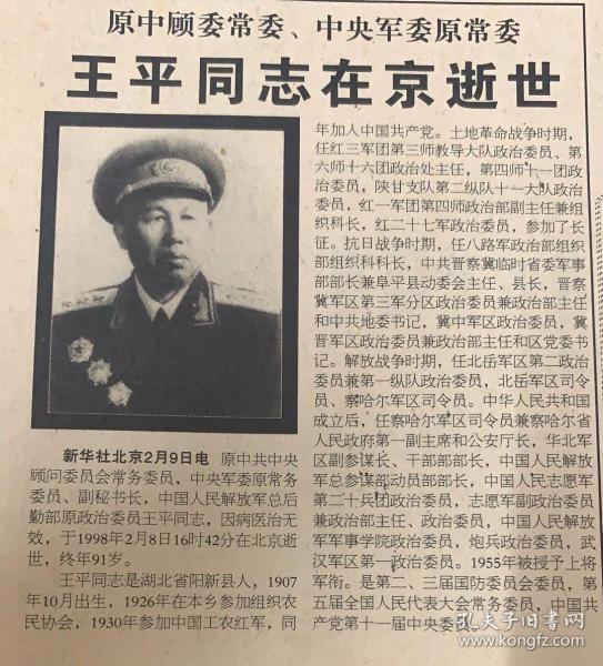 王王中王平特一肖，探尋背后的故事與奧秘，探尋王王中王平特一肖背后的故事與奧秘