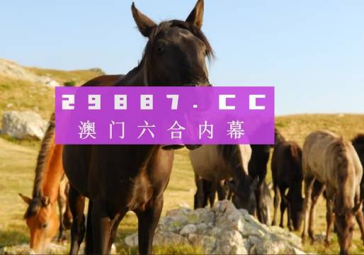 澳門管家婆一肖一碼一中一，揭秘與解析，澳門管家婆一肖一碼揭秘與解析