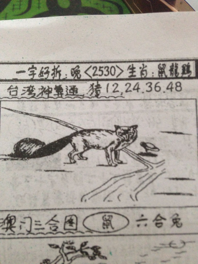 揭秘生肖奧秘，看圖猜一生肖劉伯溫的傳奇故事，揭秘生肖奧秘，劉伯溫傳奇故事中的生肖之謎探索