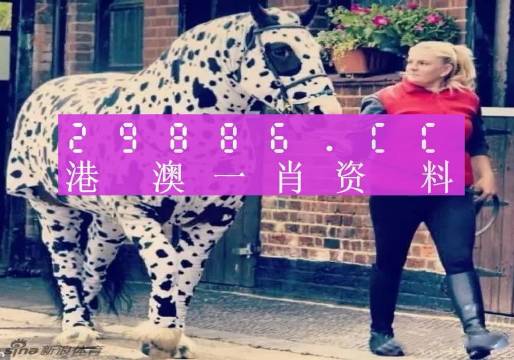 王中王一肖一特一中香港，探索關(guān)鍵詞背后的故事，香港關(guān)鍵詞背后的故事探索，王中王一肖一特一中