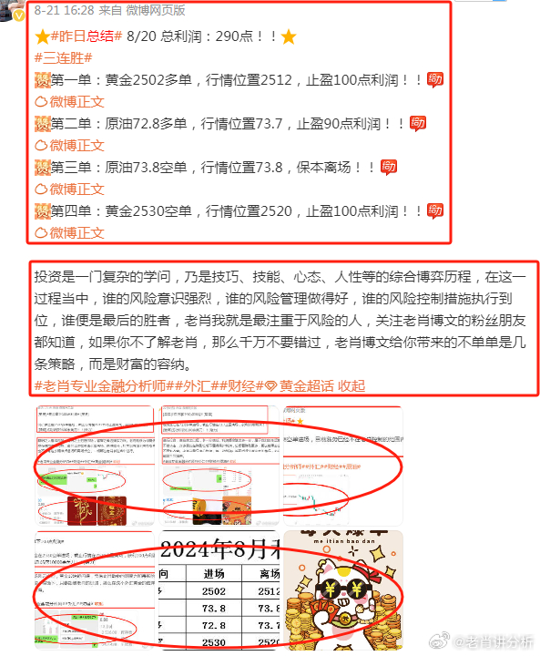 香港王中王一肖最準(zhǔn)——揭秘精準(zhǔn)預(yù)測的秘密，揭秘香港王中王一肖精準(zhǔn)預(yù)測的秘密之道