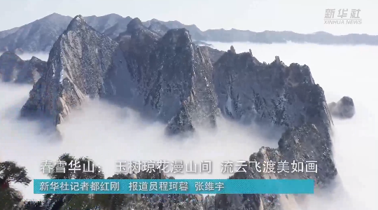 澳門最精準龍門，探索真正的精準之道，澳門最精準龍門，揭秘真正的精準之道