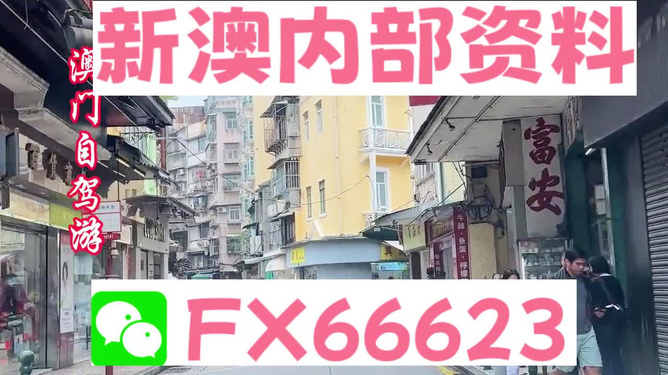 新澳精準(zhǔn)資料免費(fèi)提供，探索與利用資源助力成功，新澳精準(zhǔn)資料免費(fèi)分享，助力成功探索與利用資源