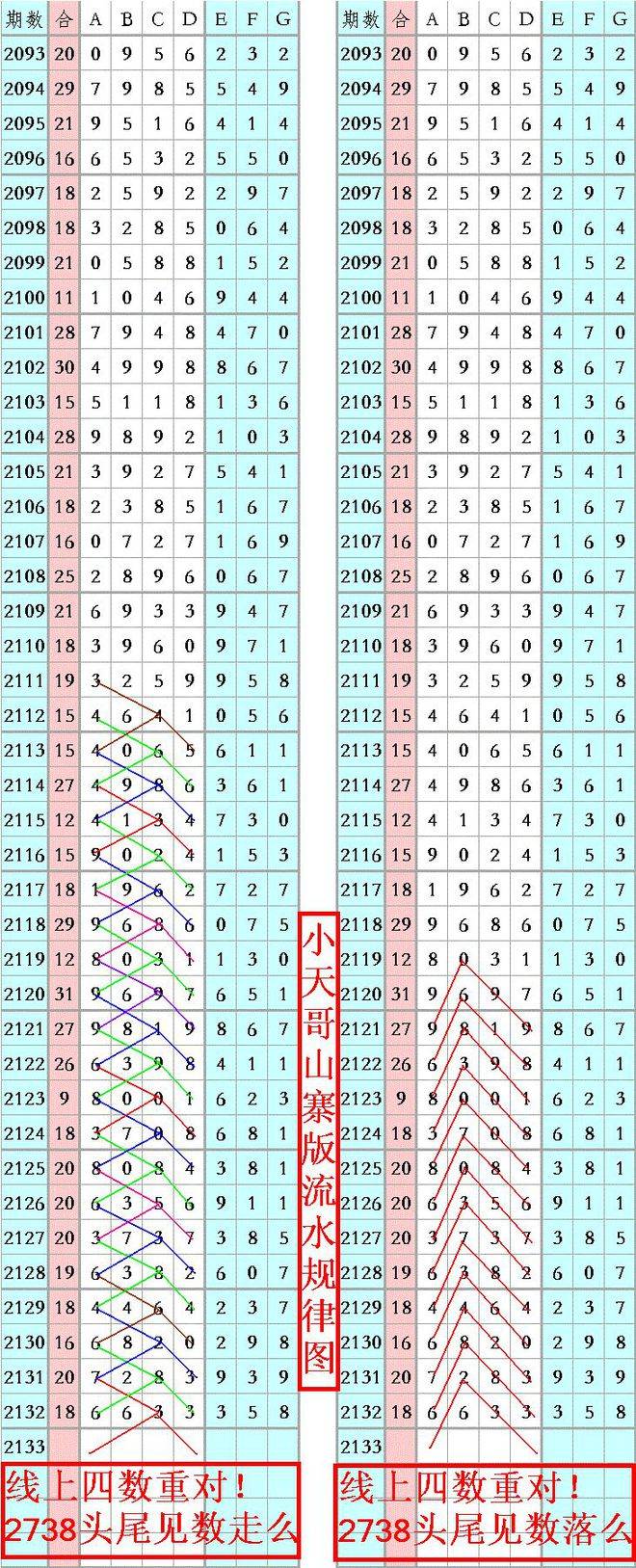 王中王資料一肖正特馬，深度解析與探索，王中王資料一肖正特馬深度解析與探索揭秘