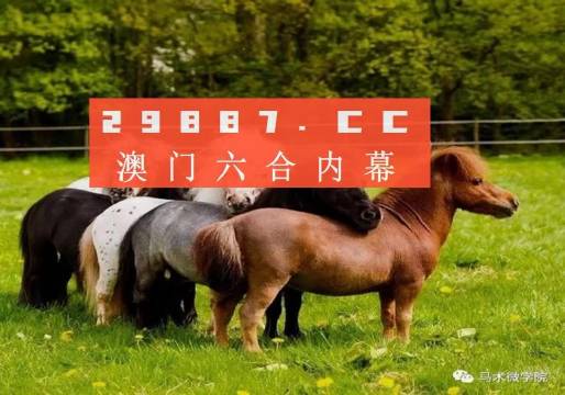 揭秘王中王四不像平特一肖，神秘現(xiàn)象的背后真相，揭秘王中王四不像平特一肖，神秘現(xiàn)象真相大揭秘
