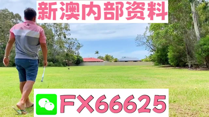 王中王一碼二肖，揭秘背后的秘密，揭秘王中王一碼二肖背后的秘密
