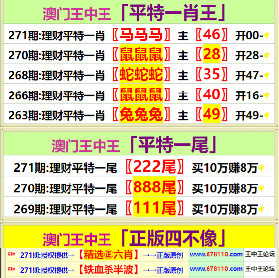 王中王四肖中特一期期誰(shuí)，深度解析與探索，王中王四肖中特一期深度解析與探索