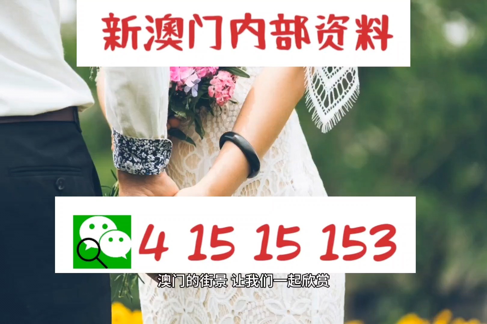 新澳精準(zhǔn)資料，深度解析與探索，新澳精準(zhǔn)資料深度解析與探索之旅