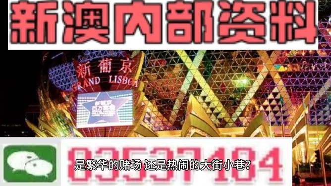 新澳門(mén)精準(zhǔn)資料大全管家婆料，探索與解析，澳門(mén)精準(zhǔn)資料大全解析，探索管家婆料內(nèi)幕