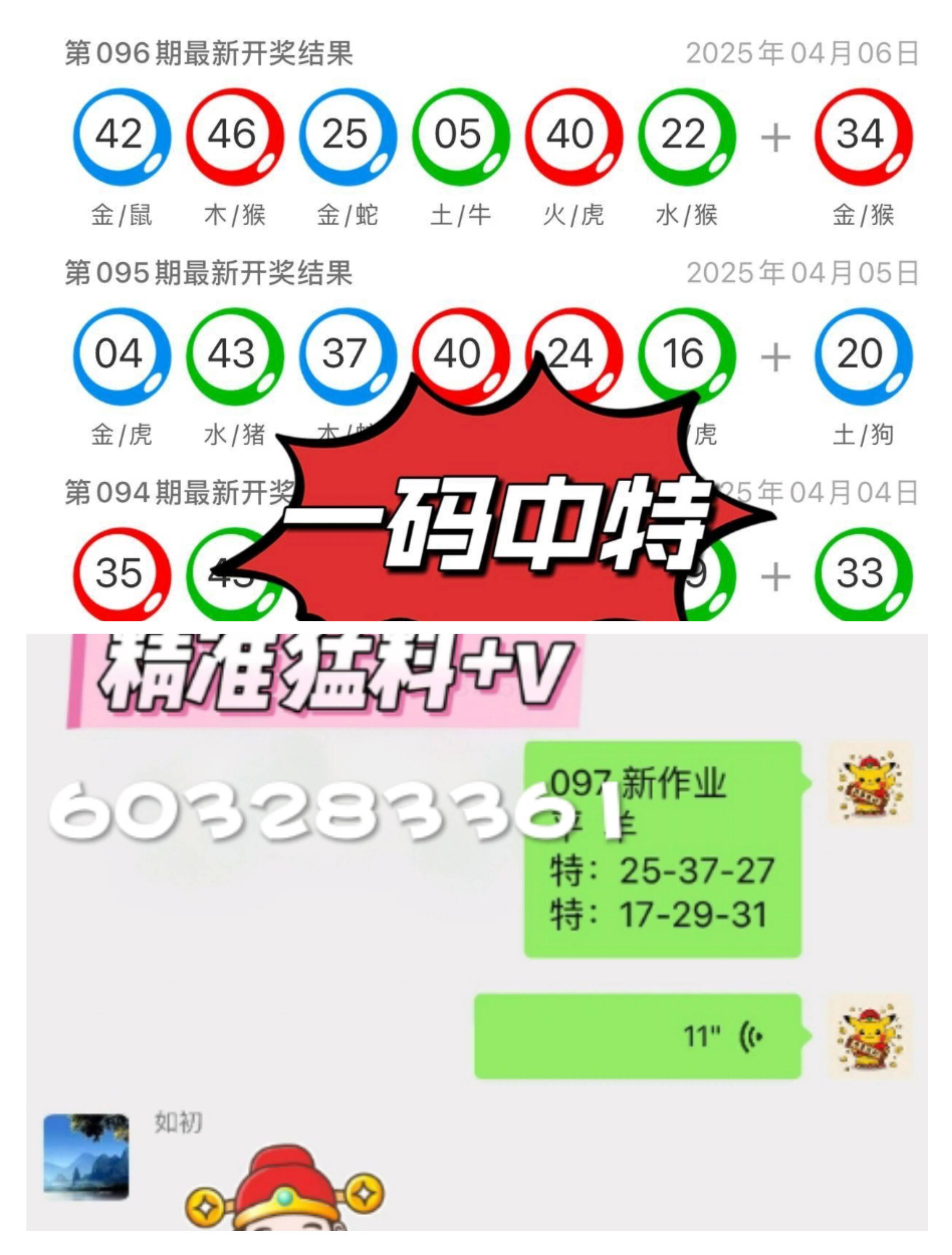 探索未來，2025新澳門九肖展望，2025新澳門九肖展望，探索未來之路