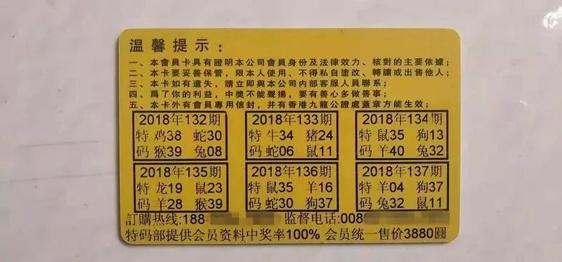 香港中特期期準(zhǔn)資料，深度解析與探索，香港中特期期準(zhǔn)資料深度解析與探索報(bào)告