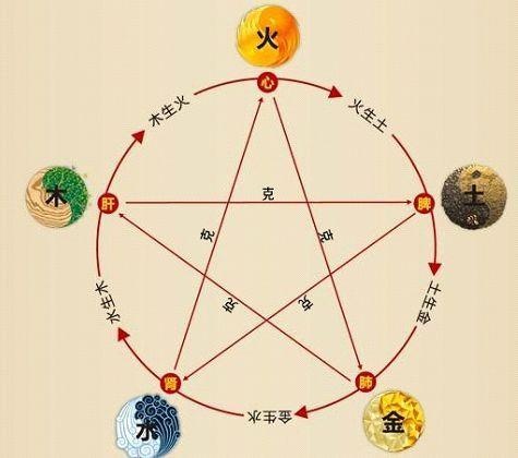鐵算算盤4887最準(zhǔn)資料，揭秘其背后的秘密與優(yōu)勢，揭秘鐵算算盤4887，最準(zhǔn)資料背后的秘密與優(yōu)勢