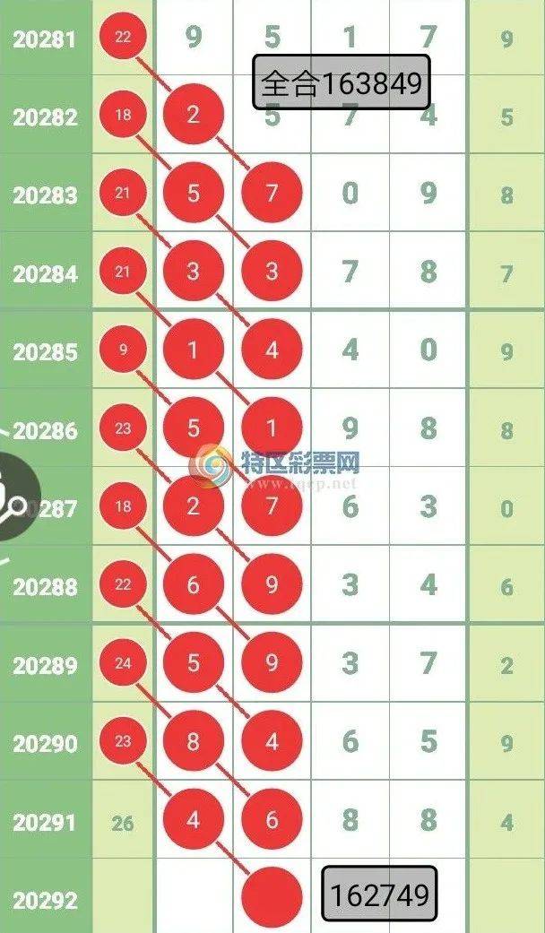 王中王彩票查詢精選號(hào)碼，探索彩票背后的秘密與策略，王中王彩票查詢，揭秘精選號(hào)碼背后的秘密與策略