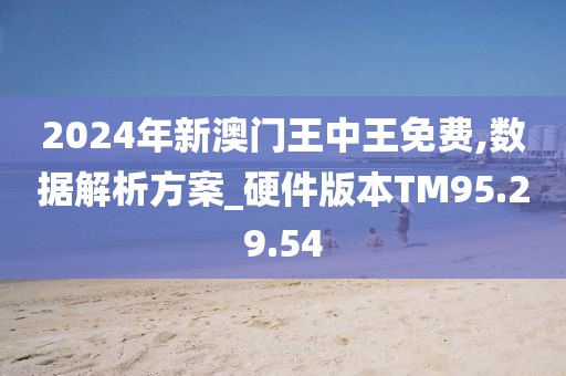 2025新澳王中王